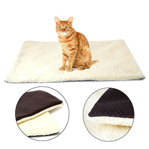 Heated Cat Bed