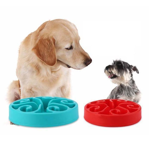 Pet Safe Anti-Choke Slow Feeder Dog Bowl