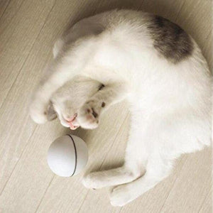 Rolling Laser Ball Cat Toy